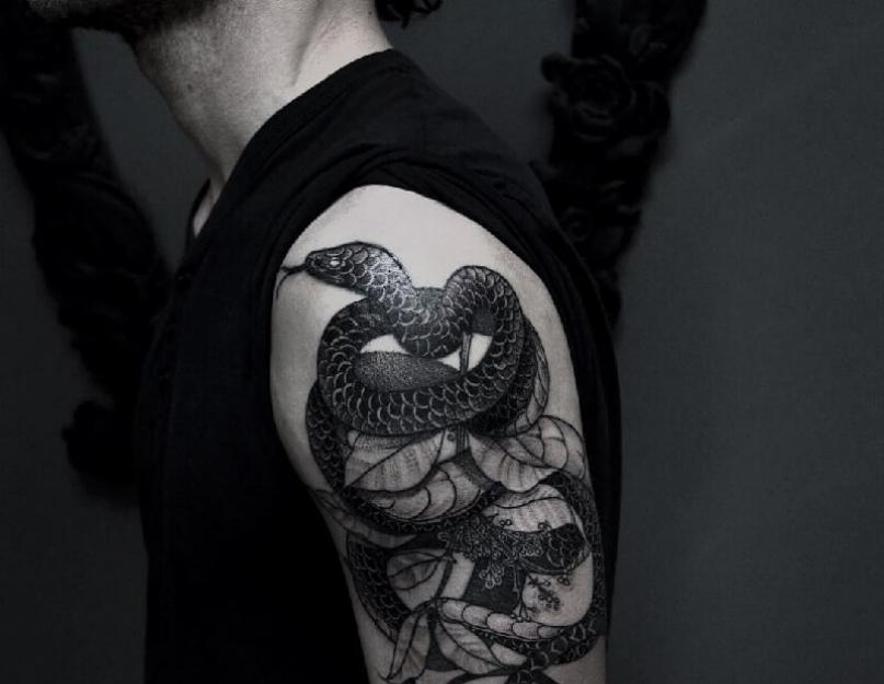 Значение тату змея: что стоит знать о такой татуировке. Значение татуировок змеи, кобры, гадюки, удавы, питоны, змей уроборос На шее тату удав значит