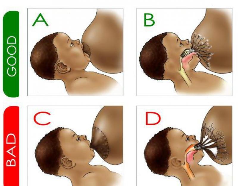 Как кормить грудью лежа. Правильное вскармливание грудного ребенка: советы кормящей маме. Основные позиции и фото