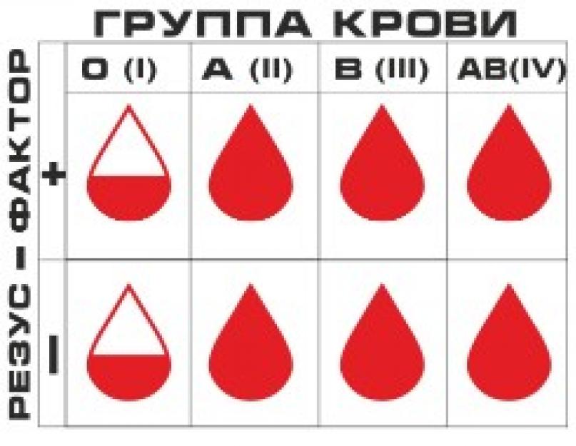 Питание по группам крови: продукты и рекомендации. Работает ли диета по группе крови Диета и продукты питания по группе крови