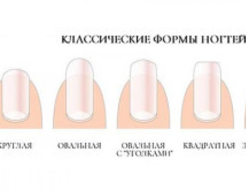 Как называются длинные ногти. Что форма ногтей может сказать о человеке? Виды ногтей от природы