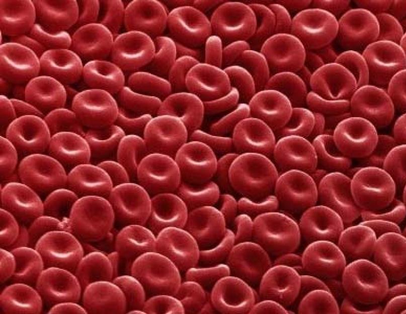 Узнать кто будет по группе крови родителей. Расчет пола ребенка по обновлению крови. Определение пола ребенка по группе крови
