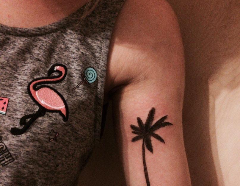 Что означает татуировка пальмы на руке. Татуировка пальмы. Какая сказка без сюжета. Оригинальные эскизы тату пальма