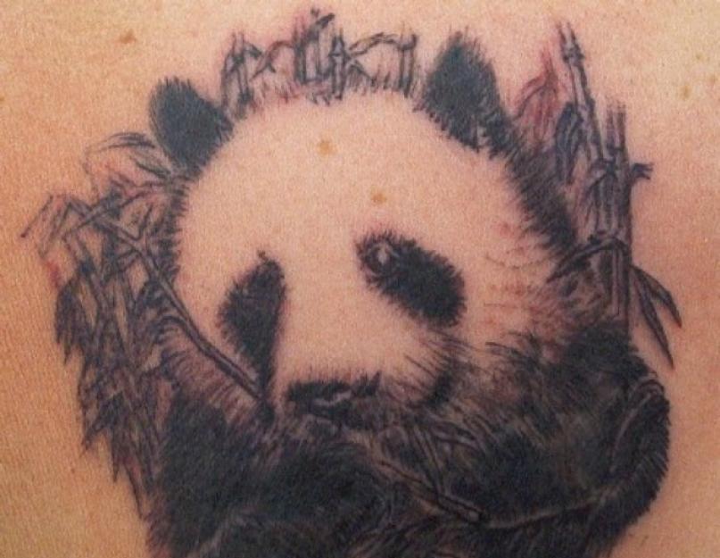 Значение татуировки панда или что означает тату панда. Татуировка панда Красная панда эскиз