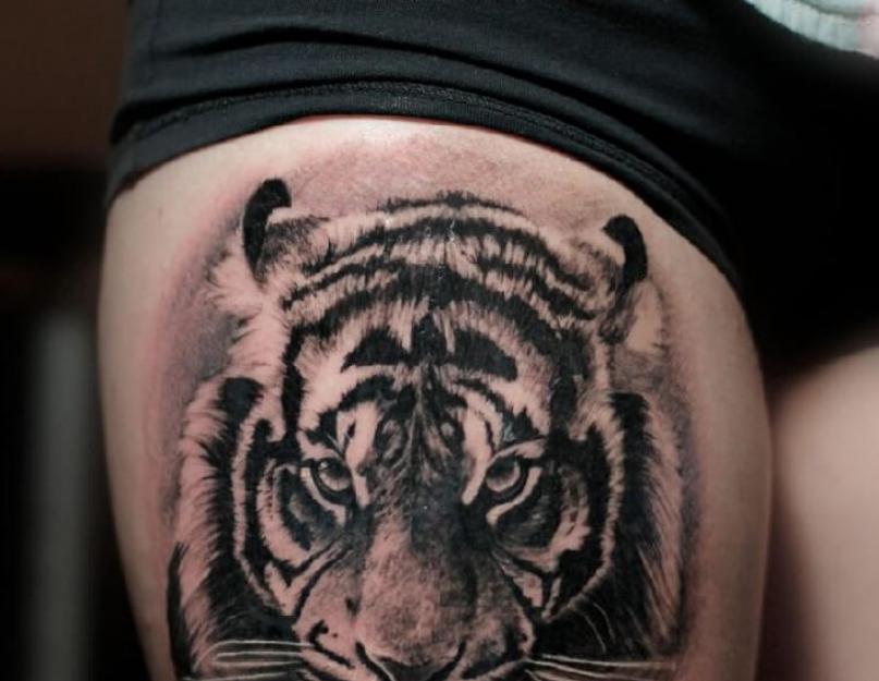 Тигр с открытой пастью рисунок. Тигр тату. Женские Тату Тигр — Эскизы Женских Татуировок с Тигром