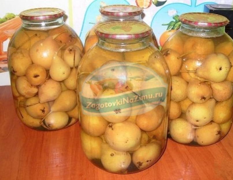 Obot iz Pears: Najbolji recepti sa fotografijama
