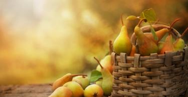 Pears: the best preparation recipes