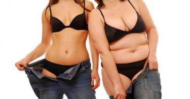 Causes of excess weight