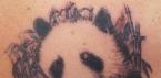 Panda tetovaža Skica crvene pande