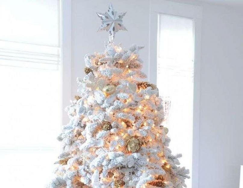 Como decorar uma árvore de Natal: opções clássicas familiares e alternativas originais (70 fotos).  Como decorar adequadamente uma árvore de Natal Regras para decorar uma árvore de Natal com bolas