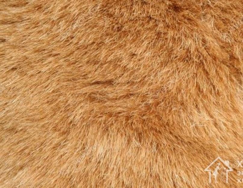 How to remove paint from fur. How to properly clean a faux fur coat at home. Handy folk remedies