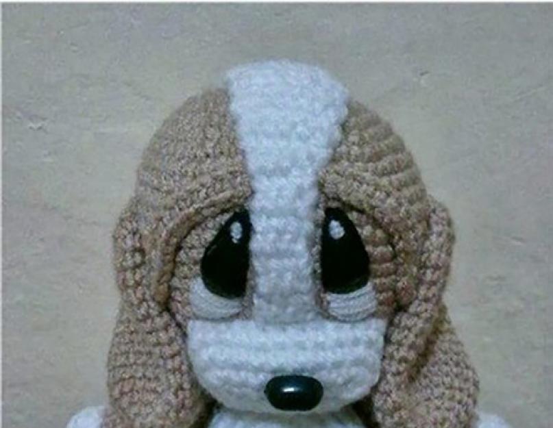 Crochet patterns for amigurumi dogs.  How to tie an amigurumi dog: Master class.  Small details: ears, paws, tail