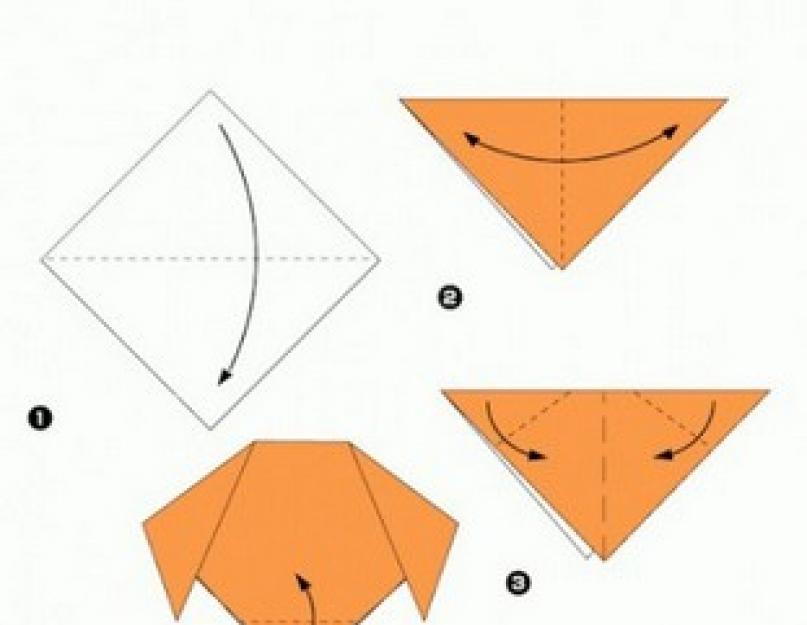 Origami modular com cachorro: diagrama, instruções passo a passo.  Cachorro de origami modular.  Diagrama de montagem.  Master class cão de origami feito de papel instruções passo a passo