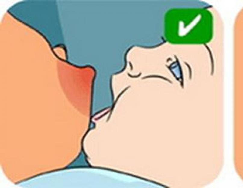 Як правильно годувати грудьми новонародженого: рекомендації фахівців.  Грудне вигодовування новонароджених і немовлят.  Особливості в перші дні і місяці Нагодую грудним молоком