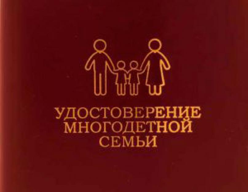 The large family.  Definition of a large family in Russian legislation?  Free parking permit