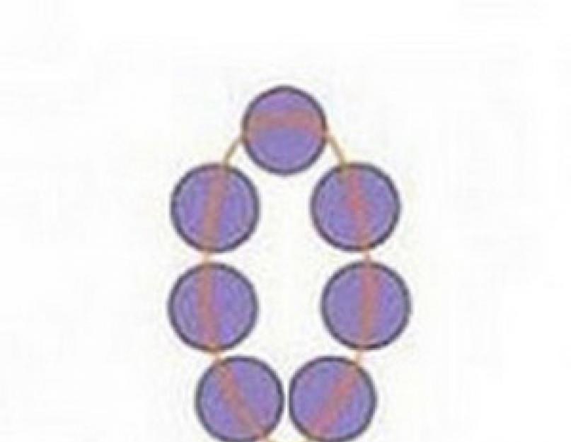 How to weave lilac beads for beginners. The scheme of a branch of lilac from beads: description, tips, a master class on making with step-by-step photos of weaving