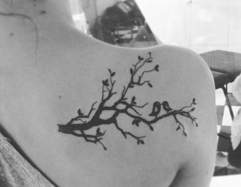 Tetovanie tŕňovej koruny na nohe.  Tetovanie vetvy.  Možnosti tetovania s ostnatým drôtom