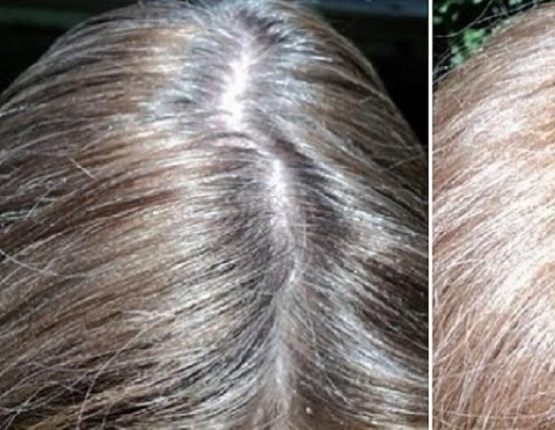 Malujte si doma šedivé vlasy.  Barvení šedých vlasů přírodními barvivy.  Míchání barvy a barvy